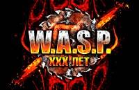 W. A. S. P. с программой 30 YEARS OF THUNDER