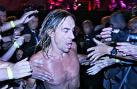 Iggy Pop & The Stooges